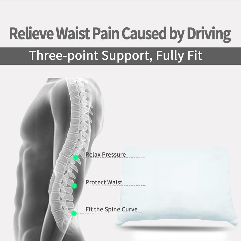 Tesla Lumbar Pillow for Model 3/Y/S/X